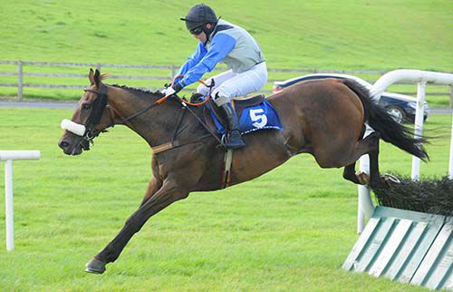 Trazar and Bobby Molloy land over the last in the Chia Bia 4 Life Handicap Hurdle at Tramore