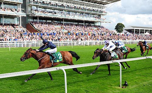 Declaration Of War beating Trading Leather at York