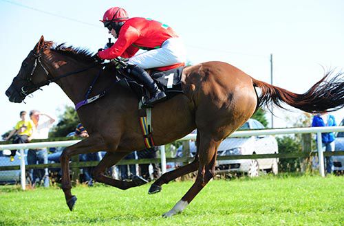Top Madam pictured on her way to victory under Harley Dunne 