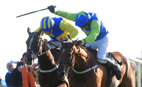 Giant's Quest (left) and Captain Arceus battle out the finish to feature at Bellewstown 