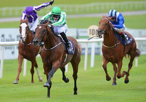 War Command is driven out by Joseph O'Brien to beat Mustajeeb (right) into second