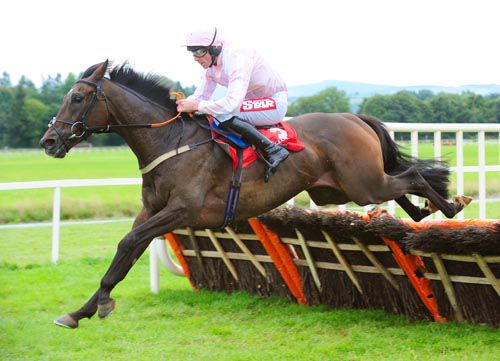 Domination and Davy Russell in the clear at Cork