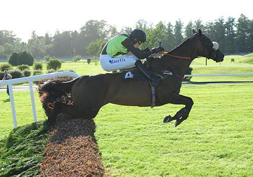 Shadow Eile and Andrew McNamara clear the last before going on to win at Killarney