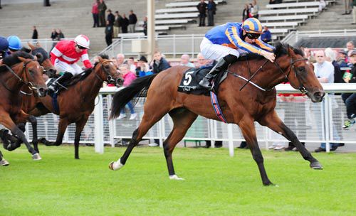 Great White Eagle gets the job done under Joseph O'Brien at the Curragh