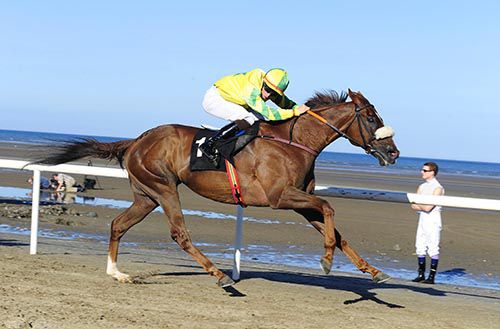 A fine shot of Toufan Express galloping to victory at Laytown