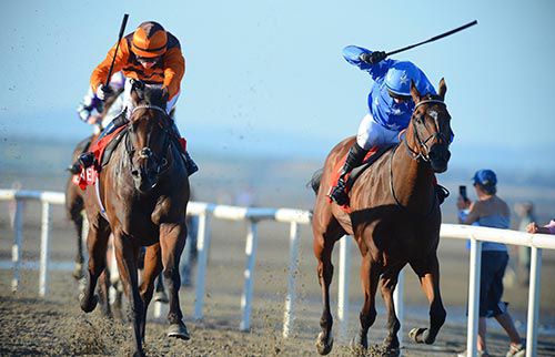 Bangalore Diamond (left) prevailed from Richelieu at Laytown