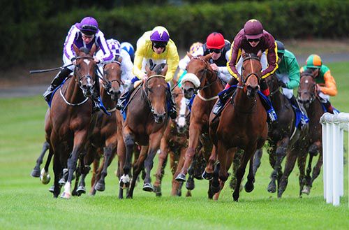 My Titania, yellow, assumes the lead in Leopardstown
