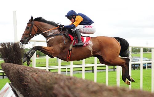 Rebel Fitz and Barry Geraghty in full flow