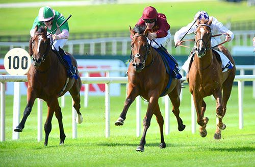 Obliterator (centre) winning at the Curragh