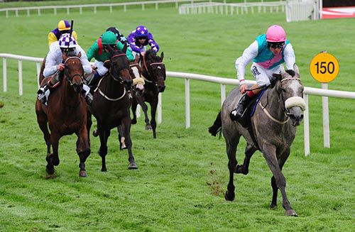 Lanyard and Pat Smullen stride away from their rivals