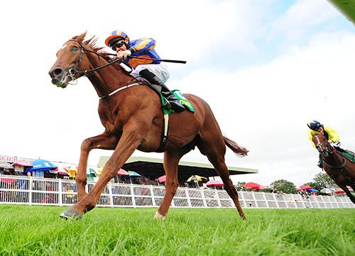 Eye Of The Storm pictured winning at Listowel on his last start