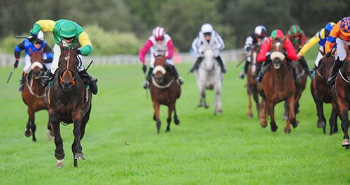 Caim Hill, green cap, comprehensively wins the last race of the Listowel festival 