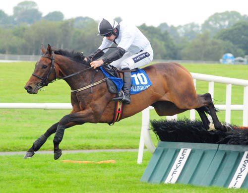 Noble Inn and Ruby Walsh land full of running after the last hurdle in Ballinrobe