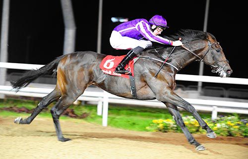 Afonso De Sousa and Joseph O'Brien on their way to victory