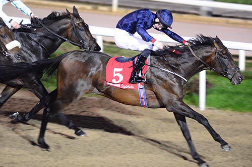 Cristoforo Colombo gets his head in front at Dundalk