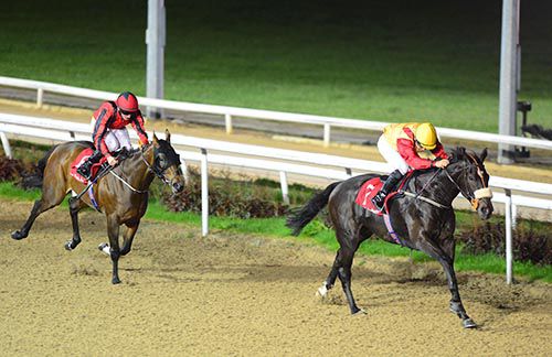 Banker Burke stretches away to win in Dundalk