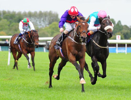 Sruthan takes his chance in the feature Heritage Stakes