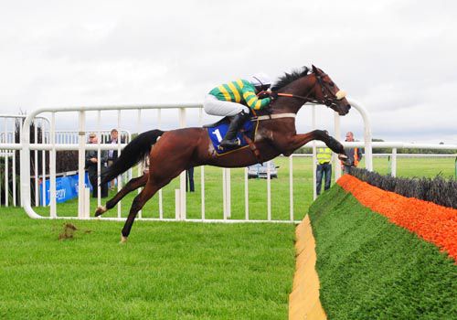 Captain Cee Bee puts in a great jump at Tipperary