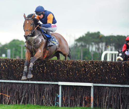 Rebel Fitz putting in another fantastic jump at Tipperary