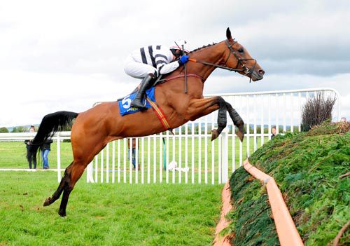 Another good jump from Decade Player on his way to victory at Tipperary