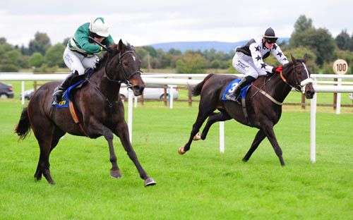 Star Councel (nearside) was too good for Chute Hall in the last at Tipperary