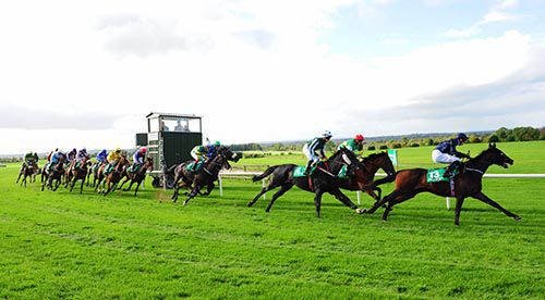 Sardinia (eventual winner) leads the field away from stands at Navan