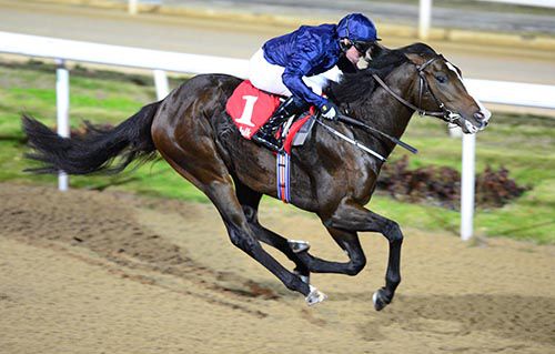 Giovanni Boldini finished seventh of twelve in the French 2,000 Guineas 