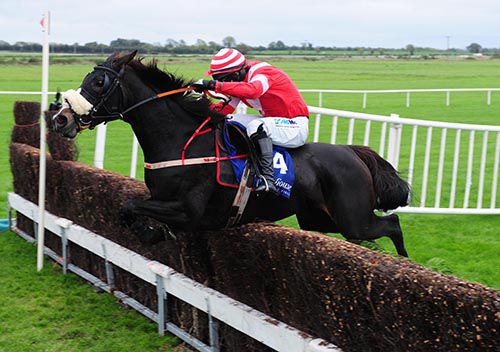 Naughty Molly on her way to victory at Fairyhouse