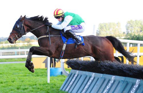 Wildcatted and Brian O'Connell clear the last in Limerick
