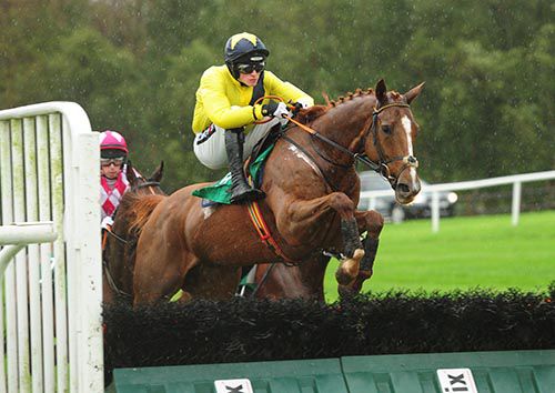 Old Kilcash jumps a hurdle on his way to victory under Danny Mullins