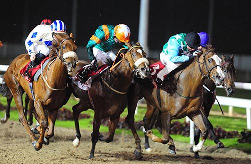 Queen Of The Sand (left) stays on best in the closing stages to beat Sassaway (right) and Fulminata