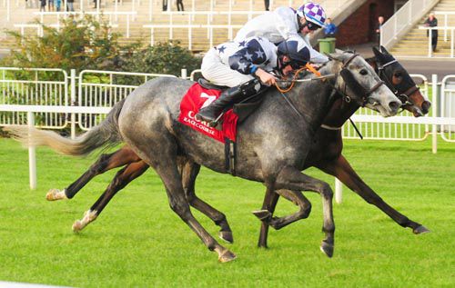 Susiecot (Cork 2013) is a first track success for jockey Tom 