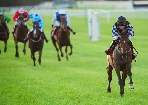 No Cash Flow wins like a good one in Cork