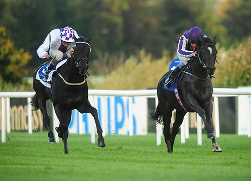 Adelaide (right) beat Fiscal Focus at Leopardstown