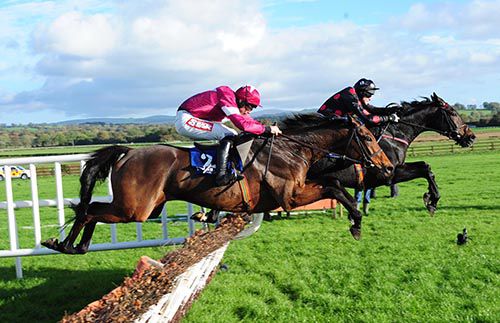 Rule The World, near side, comes to challenge King Shabra in Naas