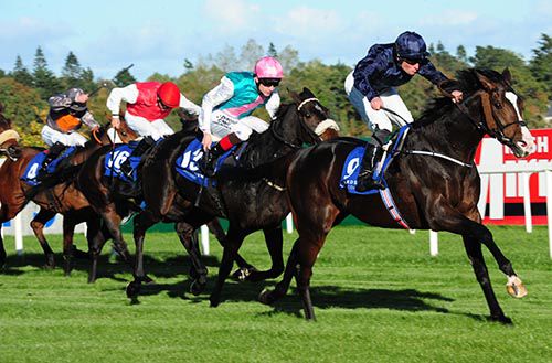 Francis Of Assisi gets the better of Big Break in Leopardstown