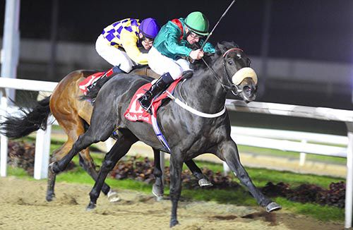 Zarib pictured on his way to victory at Dundalk when trained by Mick Halford