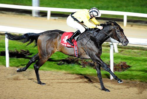 Job done for Dusty In Memphis and Billy Lee at Dundalk