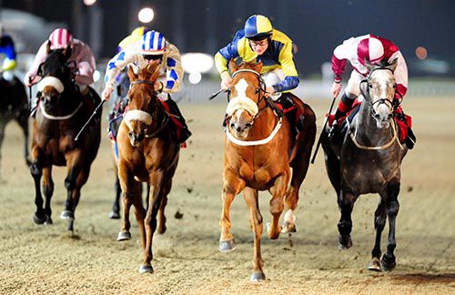 Rummaging (blue and yellow) prevailed by two necks at Dundalk