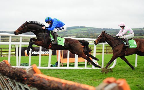 Hurricane Fly approaches the last in Punchestown