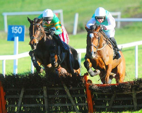 Gallant Tipp (winner, left) beat Perfect Gentleman (pecked here at the last) at Thurles