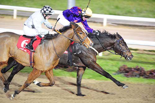 Doc Holliday, far side, keeps up jockey Robbie Downey's good form on the all-weather