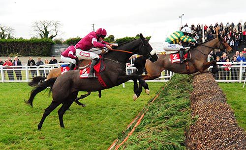 Comin to get ya - Don Cossack jumps the last behind Carlingford Lough