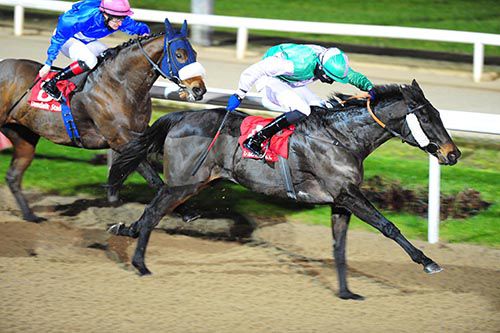 Antiquus stretches out well under Joseph O'Brien to beat Under Review in Dundalk's 2nd