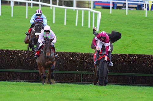 Sir Des Champs crashes out as Arvika Ligeonniere leads the way in Punchestown