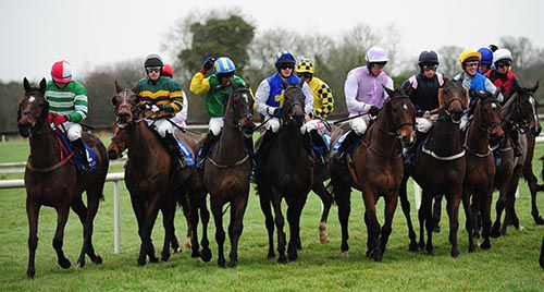 Runners at the start for the handicap hurdle; winner Miss Xian is centre, with white sleeves