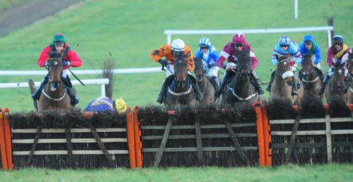 Thunder And Roses (maroon & white) comes to win the sixth at Thurles as Ruby Walsh (purple & yellow) hits the deck  