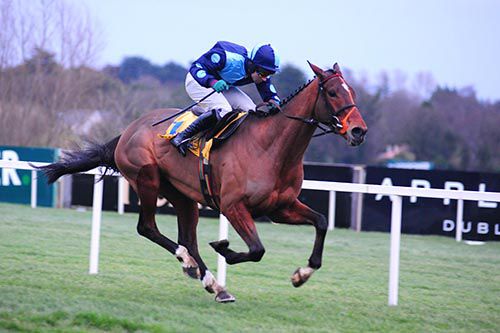 Value At Risk strides away to win in Leopardstown 