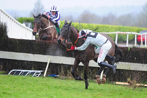 Keith Donoghue loses the battle to stay aboard Mad Brian