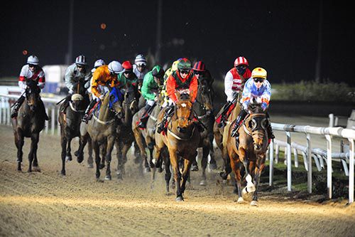 Fairy Court (Ian Queally) leads them out first time round at Dundalk